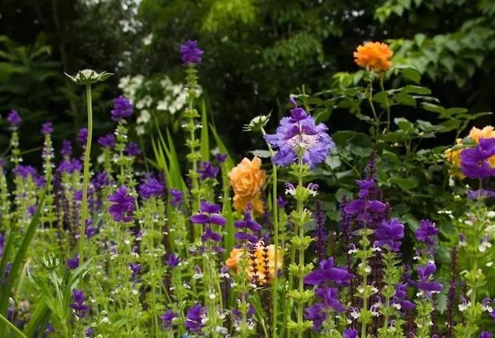 Lejlighed Wremer Strasse Wremen